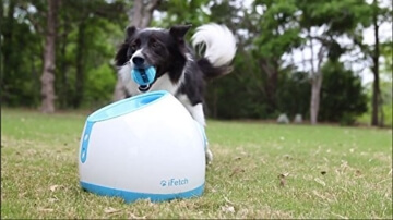 iFetch Too Ballwurfmaschine für größere Hunde