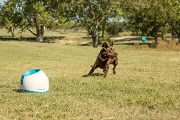 iFetch Too Ballwurfmaschine für größere Hunde