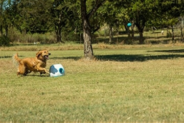 iFetch Too Ballwurfmaschine für größere Hunde